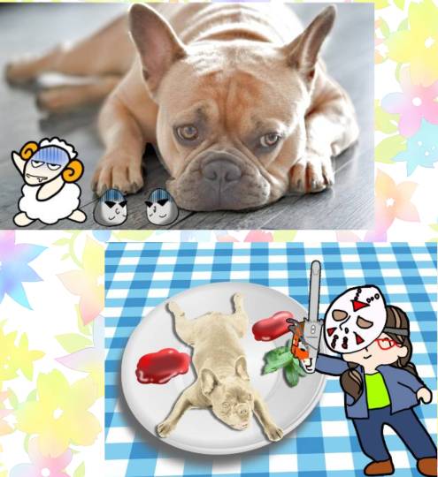 生き物ルーム第35