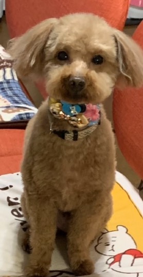 生き物ルーム第36