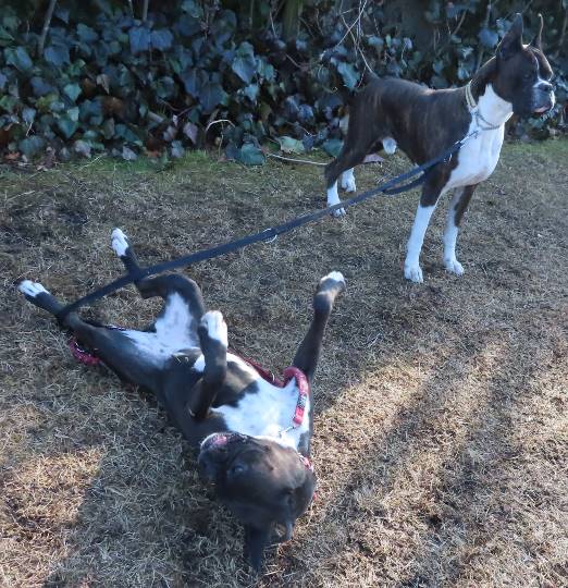 生き物ルーム第36