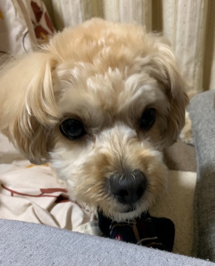 生き物ルーム第35