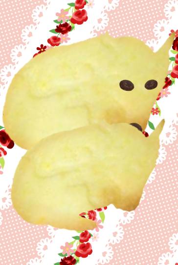 生き物ルーム第36