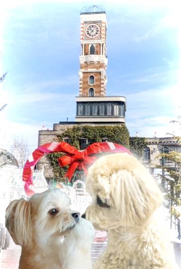 生き物ルーム第35