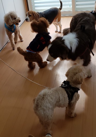 生き物ルーム第33