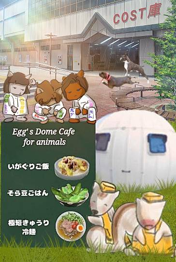 生き物ルーム第34