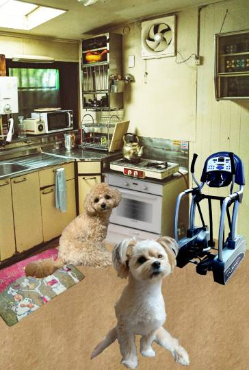 生き物ルーム第35