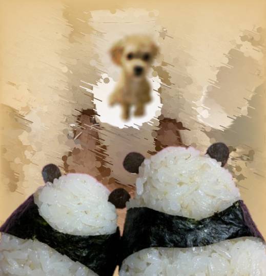 生き物ルーム第34