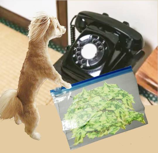 生き物ルーム第35