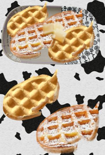 生き物ルーム第36