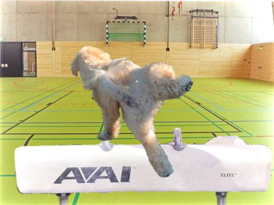 生き物ルーム第34