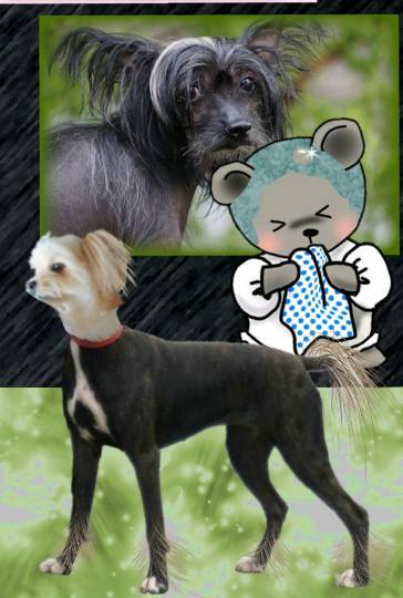 生き物ルーム第34