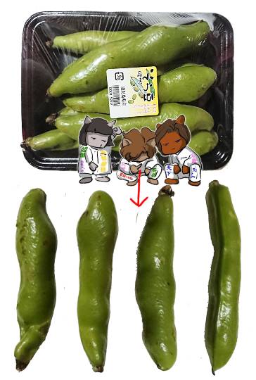 生き物ルーム第35