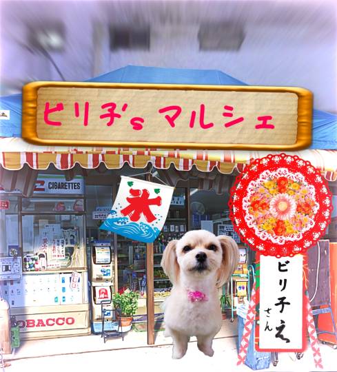 生き物ルーム第34