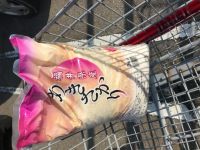 2月11日(木曜日)　射水倉庫店｜オンラインとクレジットカード紐付けでバッ...