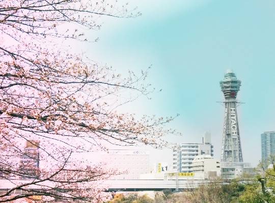 マスク同窓会詰所兼ニューフェイス歓迎所16