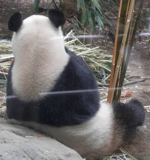 生き物ルーム第35