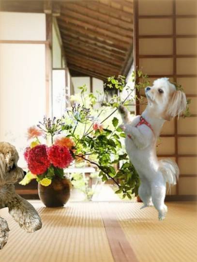 生き物ルーム第34