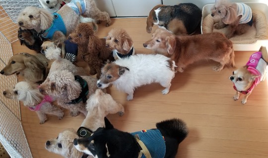 生き物ルーム第35