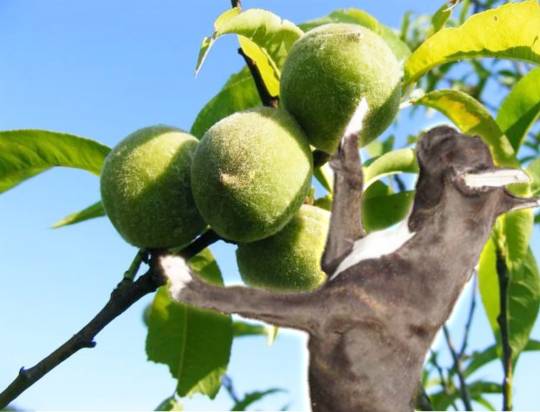 生き物ルーム第34