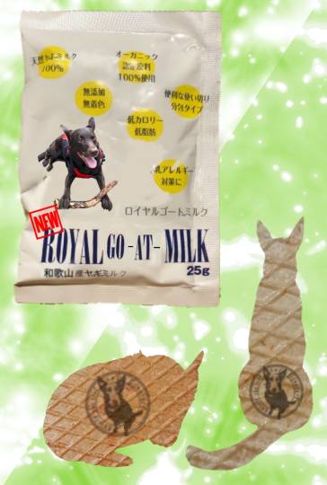 生き物ルーム第36