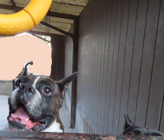 生き物ルーム第34