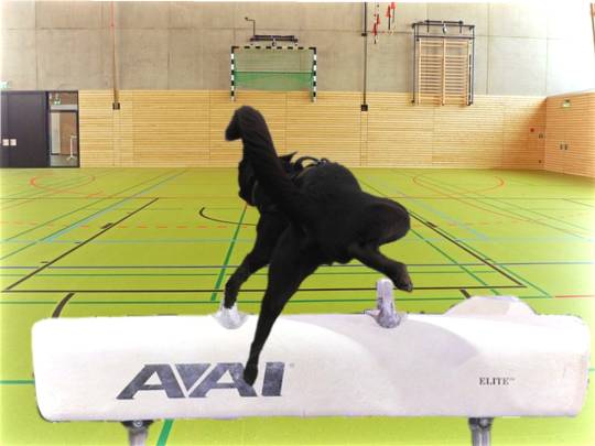 生き物ルーム第34