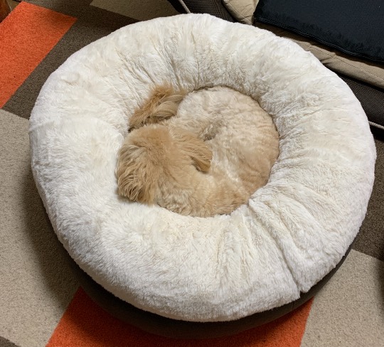 生き物ルーム第36