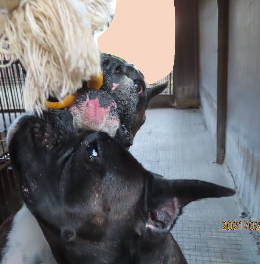 生き物ルーム第34