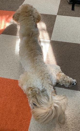 生き物ルーム第34