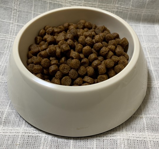 生き物ルーム第36