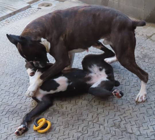 生き物ルーム第35