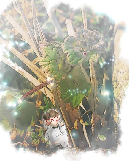 花鳥風月に心を込めて... (エアー花トピ2)