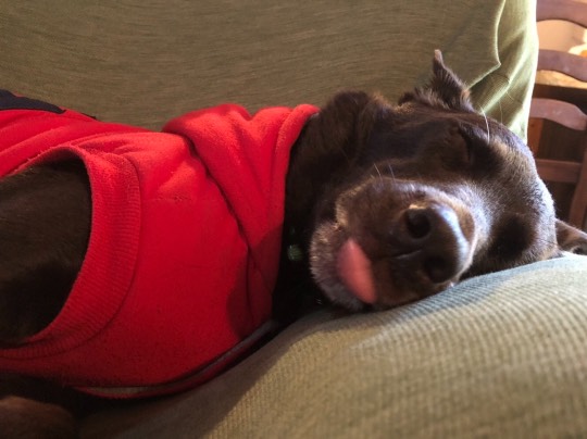 生き物ルーム第34