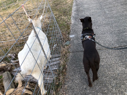 生き物ルーム第35