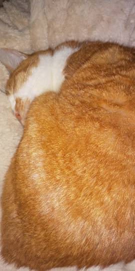 生き物ルーム第36