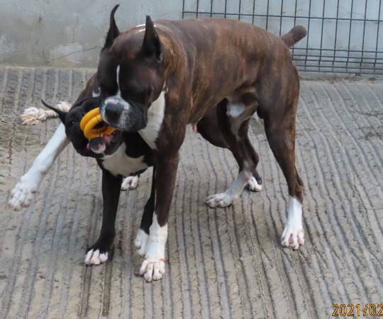 生き物ルーム第34