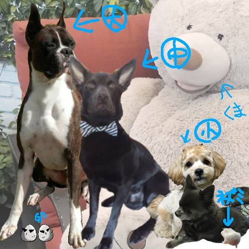 生き物ルーム第35