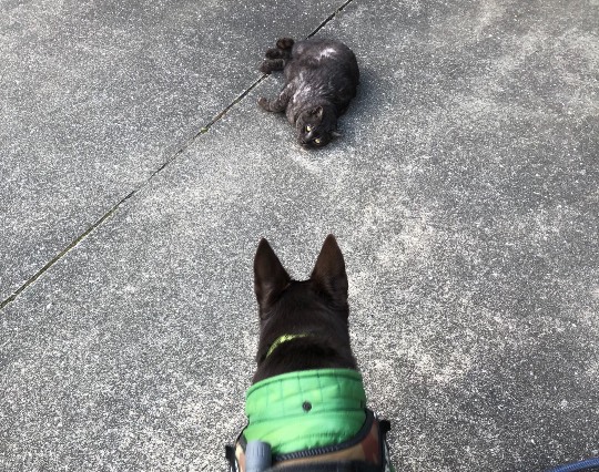 生き物ルーム第34