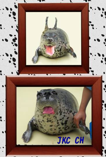 生き物ルーム第34