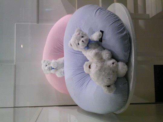 マスク同窓会詰所兼ニューフェイス歓迎所16