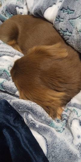 生き物ルーム第34