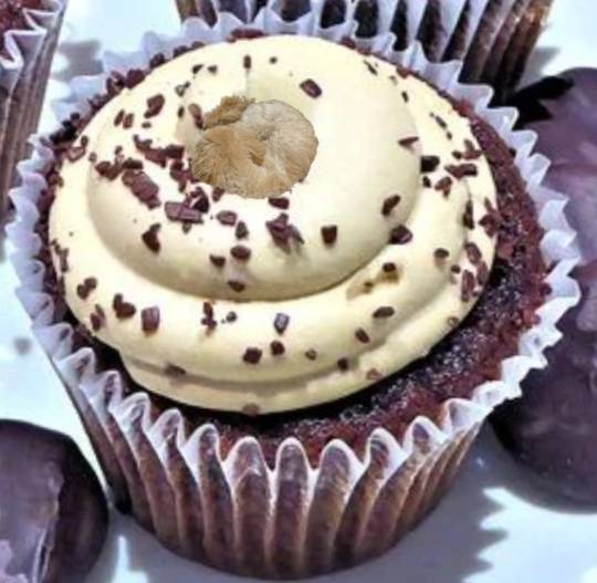 生き物ルーム第36