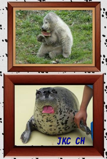 生き物ルーム第34