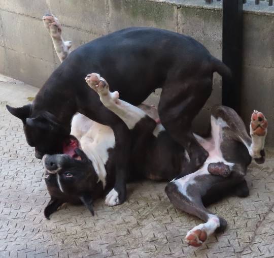 生き物ルーム第35