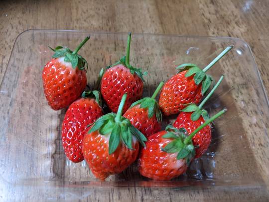 【スナックJINJIN】皆様のおかげで１０号店＆１周年♥