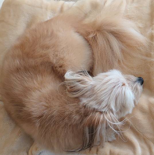 生き物ルーム第33