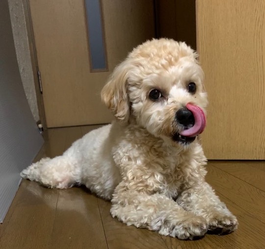 生き物ルーム第34