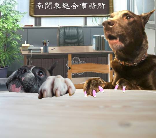 生き物ルーム第34