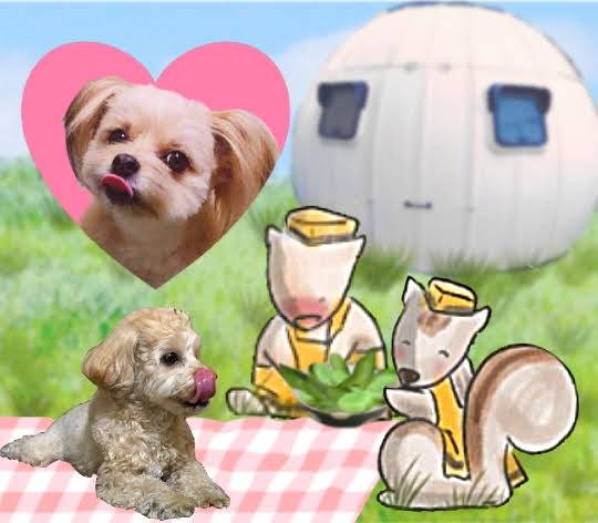 生き物ルーム第34