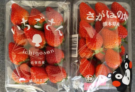 ★ドンキ♡♡ロピア 雑談15★