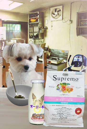 生き物ルーム第36